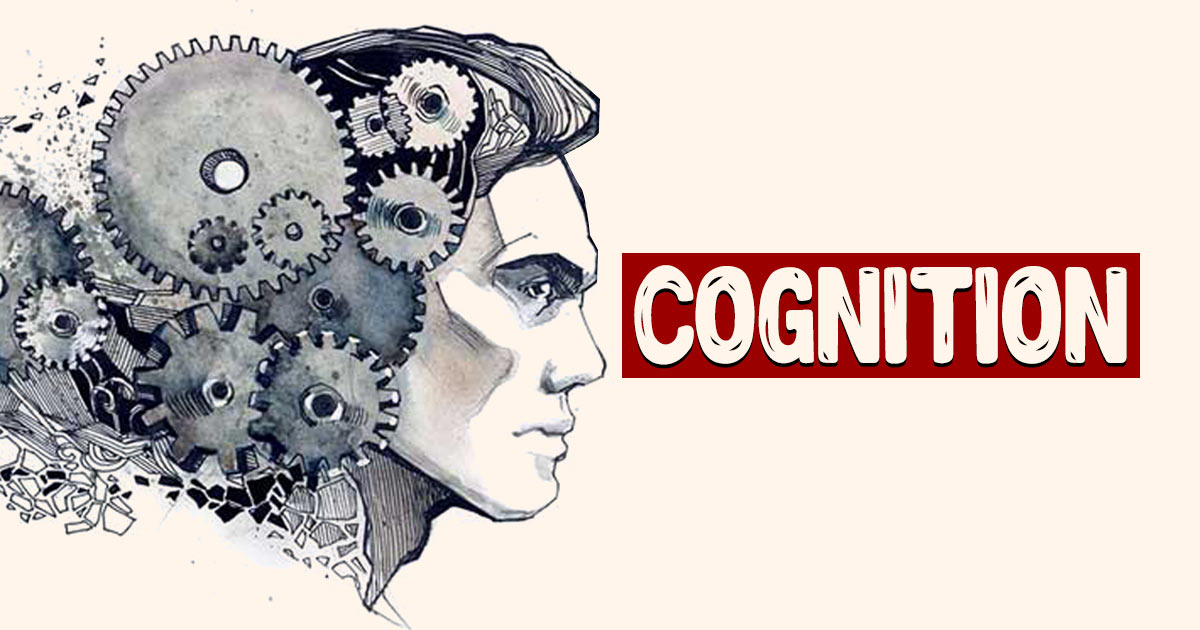 Cognition 