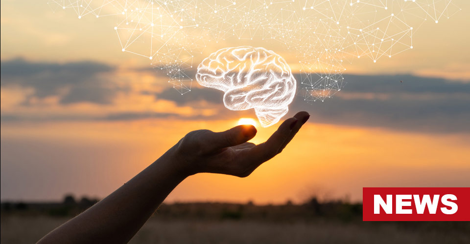 Nature And Mental Health: Did You Know Sunrise And Sunset Improves Mental Well-Being?