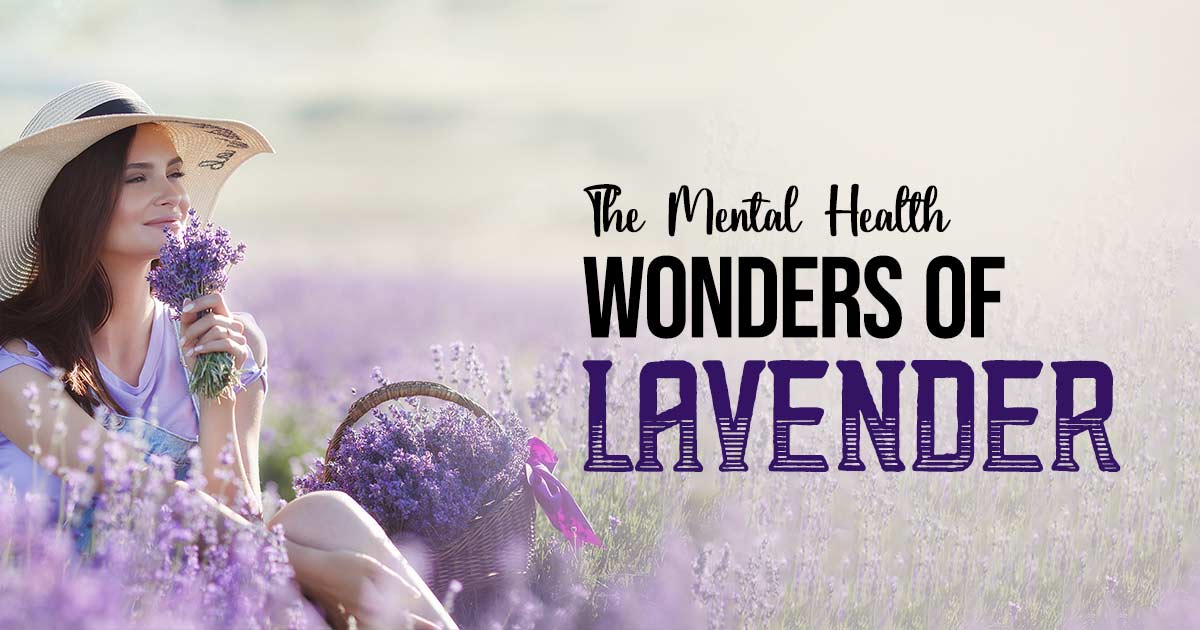 The Lavender Effect: How Lavender Boosts Your Mental Health Naturally